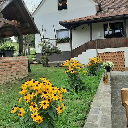 Lägenhet Hisa Antonija-apartma Irinka *