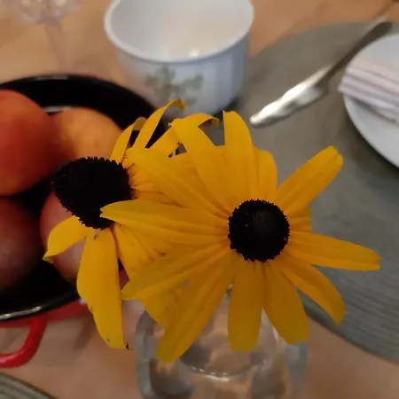 Hisa Antonija-apartma Irinka Fokovci